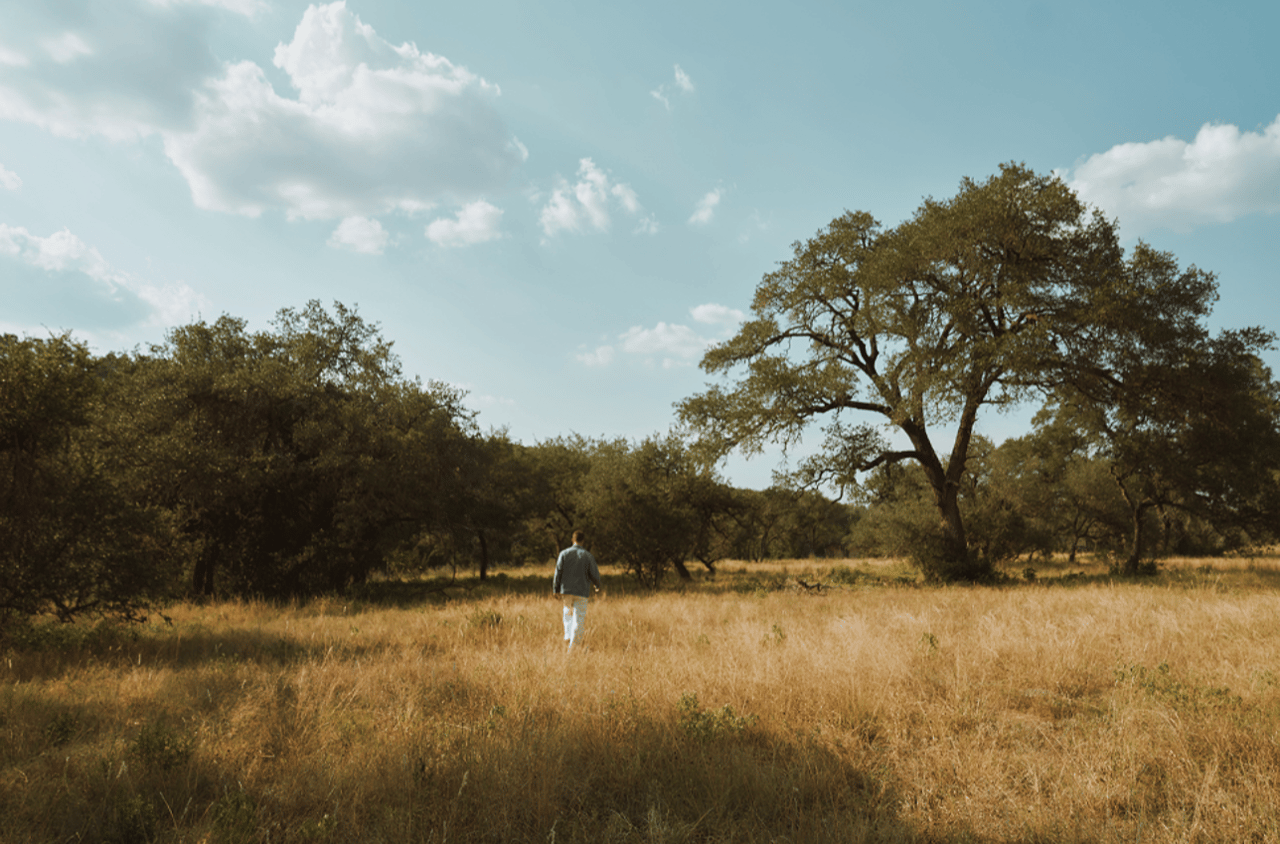 Open grassy property with mature oak trees and a person walking through the field.