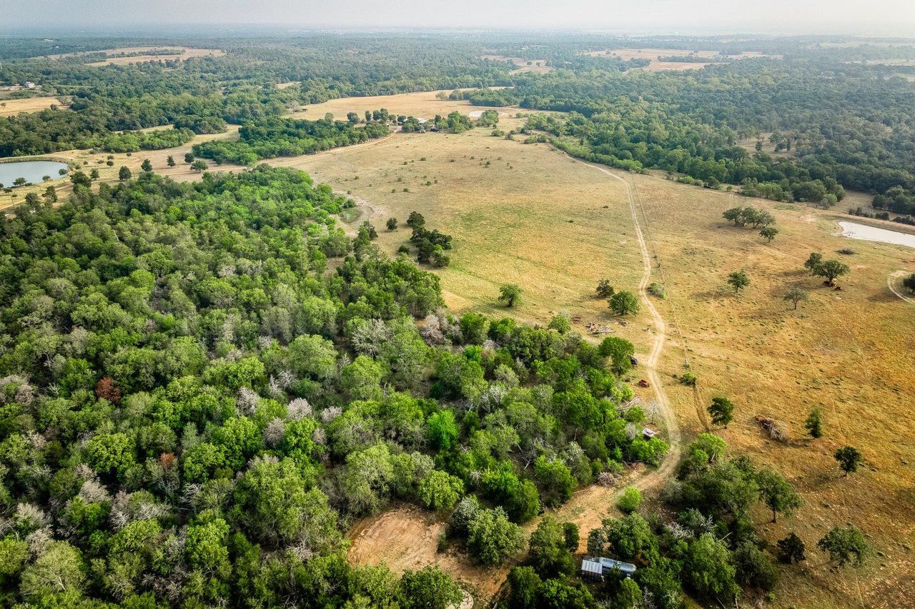 Revival Ranch TX