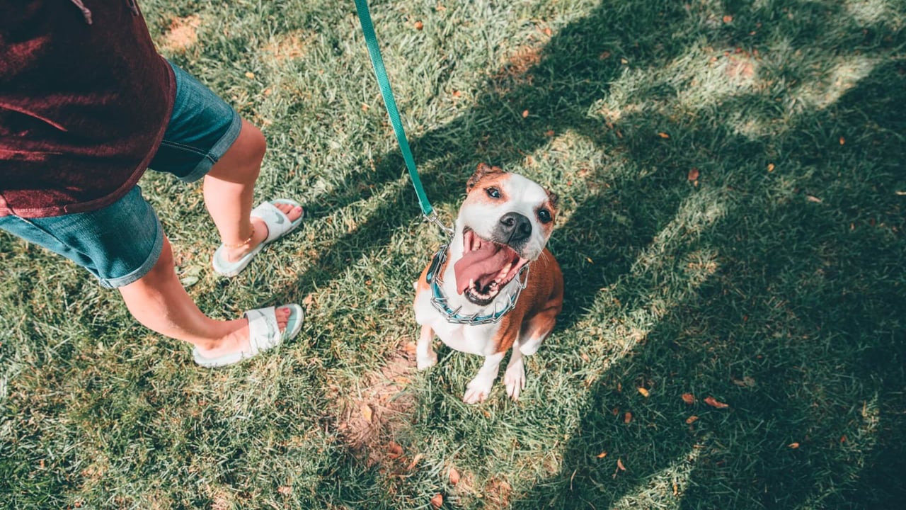 Williamsburg - Yorktown