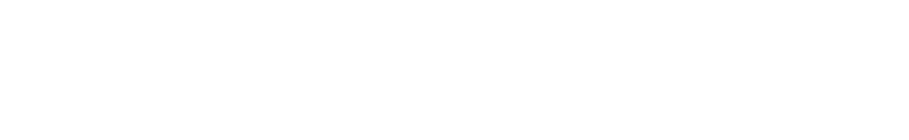 Light Logo