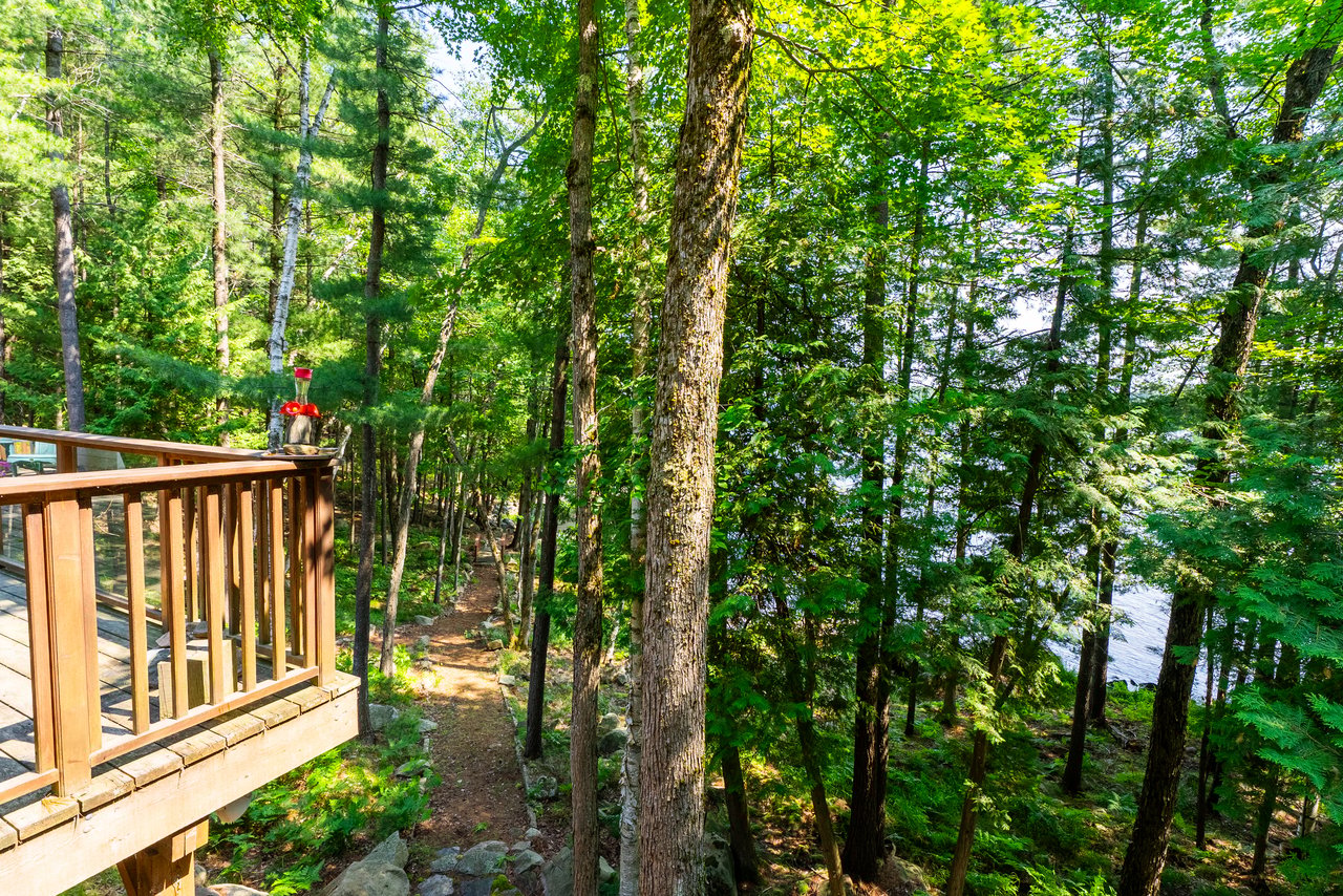 Lake Muskoka
