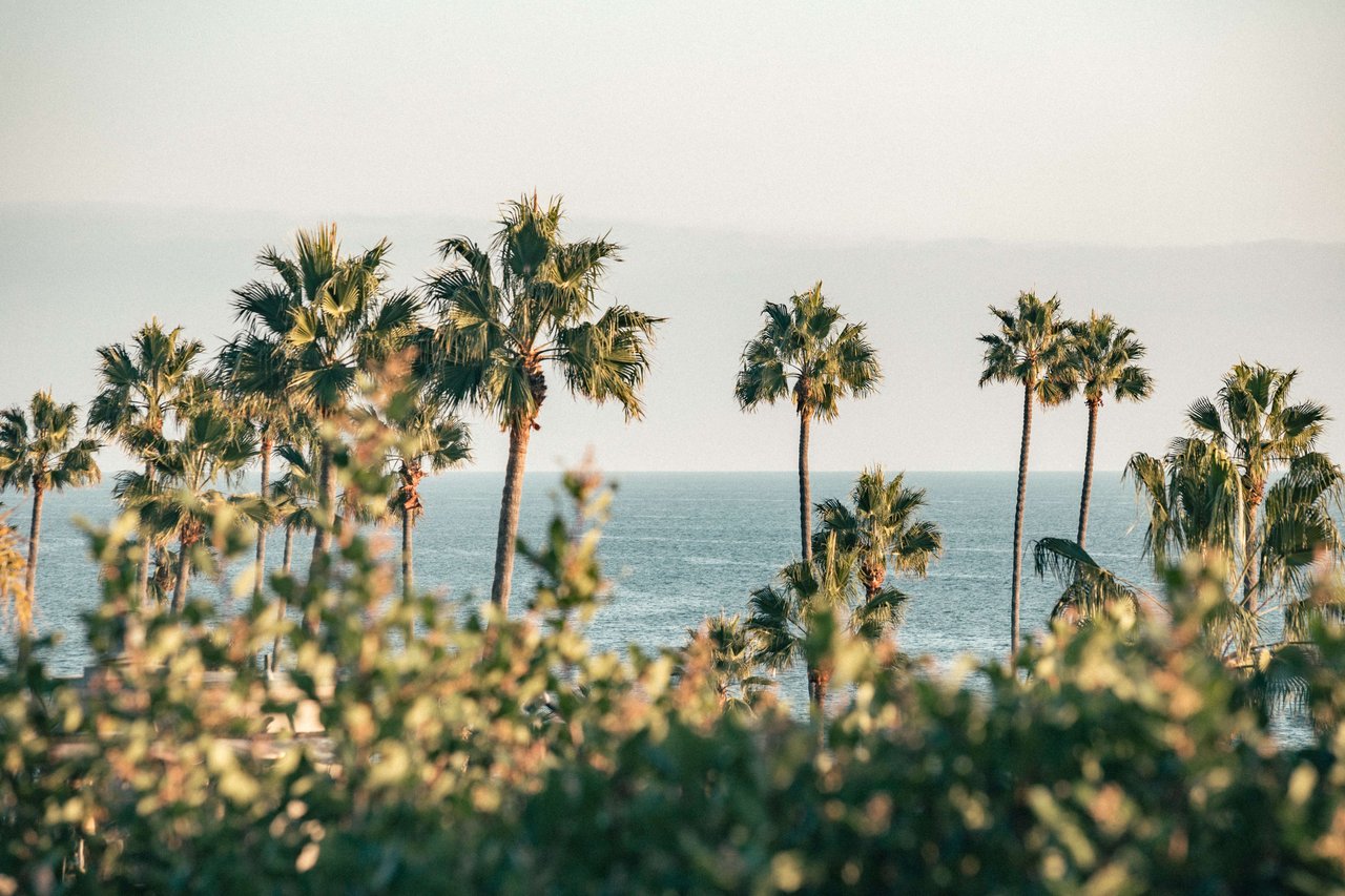 Santa Monica | Pacific Palisades