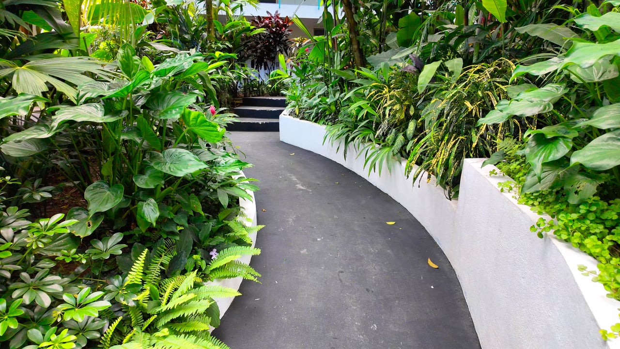 22 Unit Tropical Boutique Hotel steps from Manuel Antonio Park & Beach