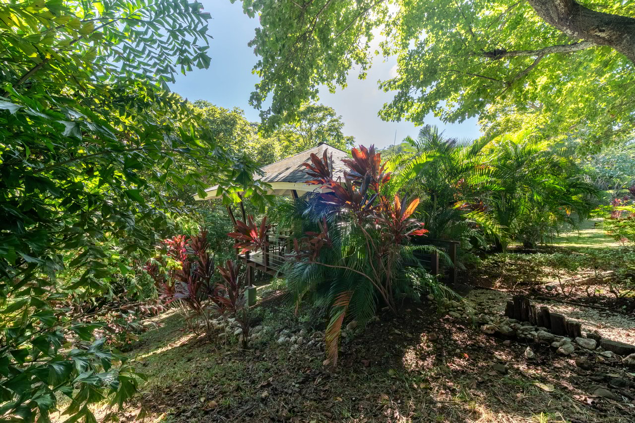 Mikado Natural Lodge | Turnkey Eco Lodge with Ocean Views & Expansion Potential in Guanacaste