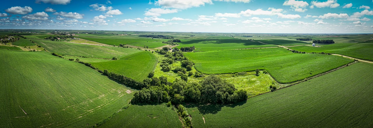 +/- 80 Acres E1/2 SE1/4 13-20-3 Adams Township, Colfax County, Nebraska