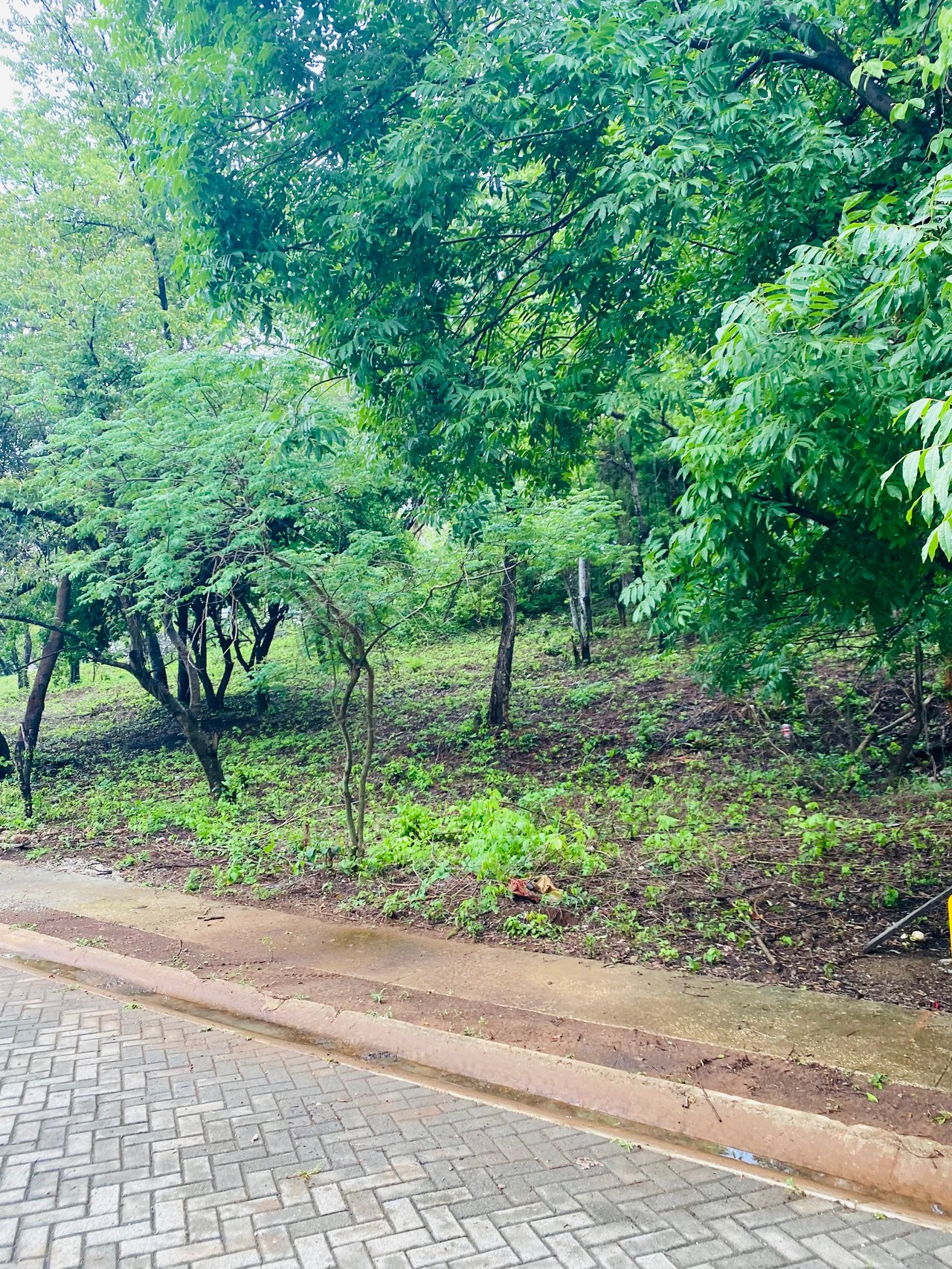 Valle Escondido Development | New Gated Community Near Tamarindo Beach