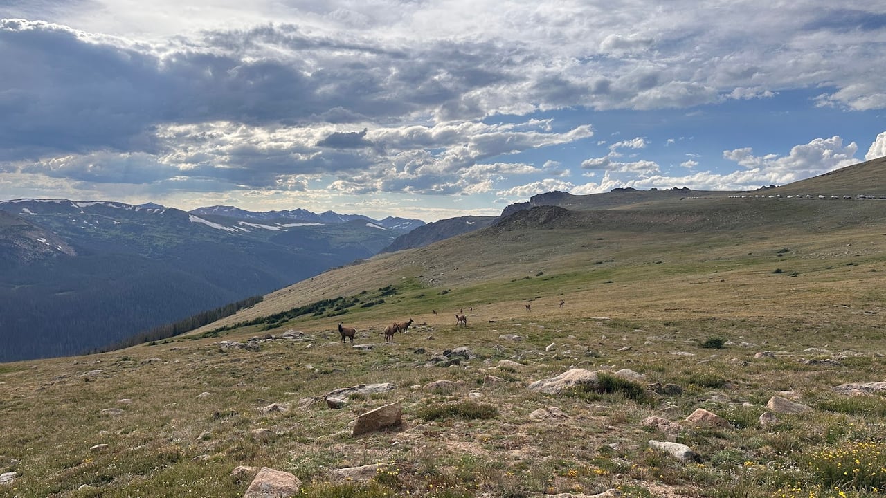 Where the Road Meets the Sky: Driving Trail Ridge Road