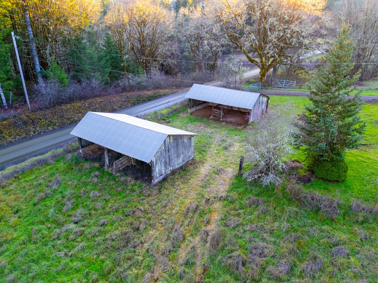 HARRIS FARM & FOREST