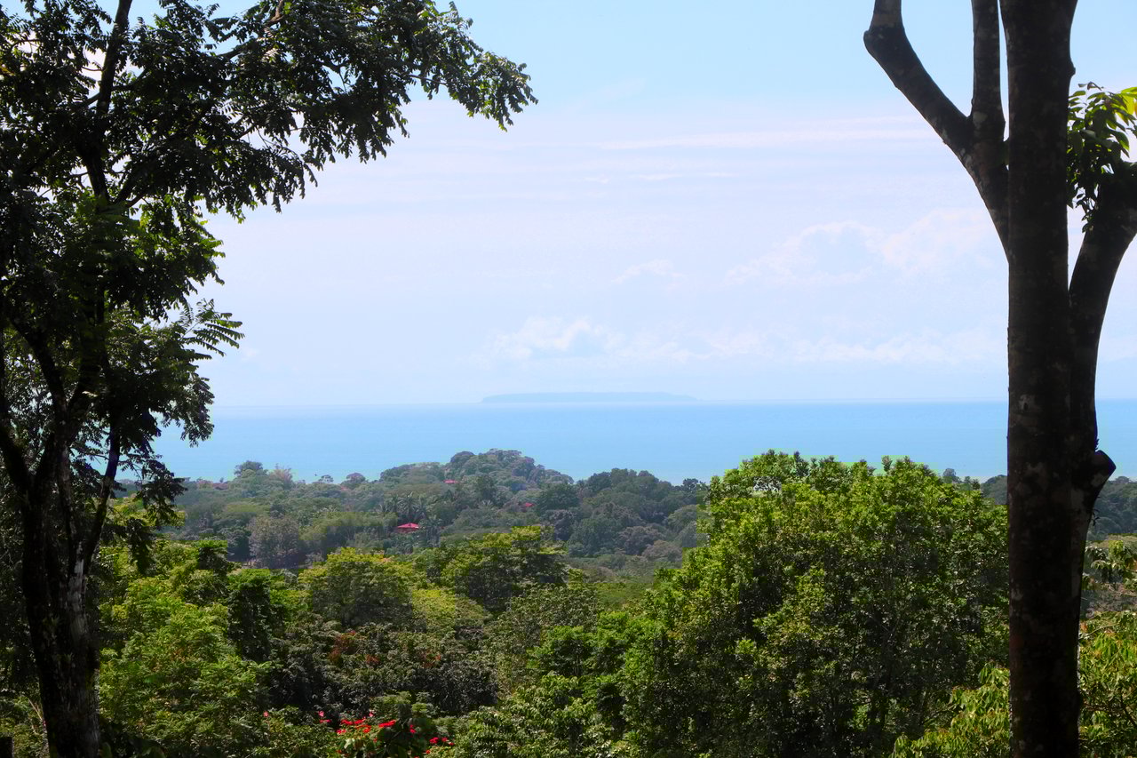 FIRE SALE! Jungle, Rivers, a Waterfall and Panoramic Ocean View