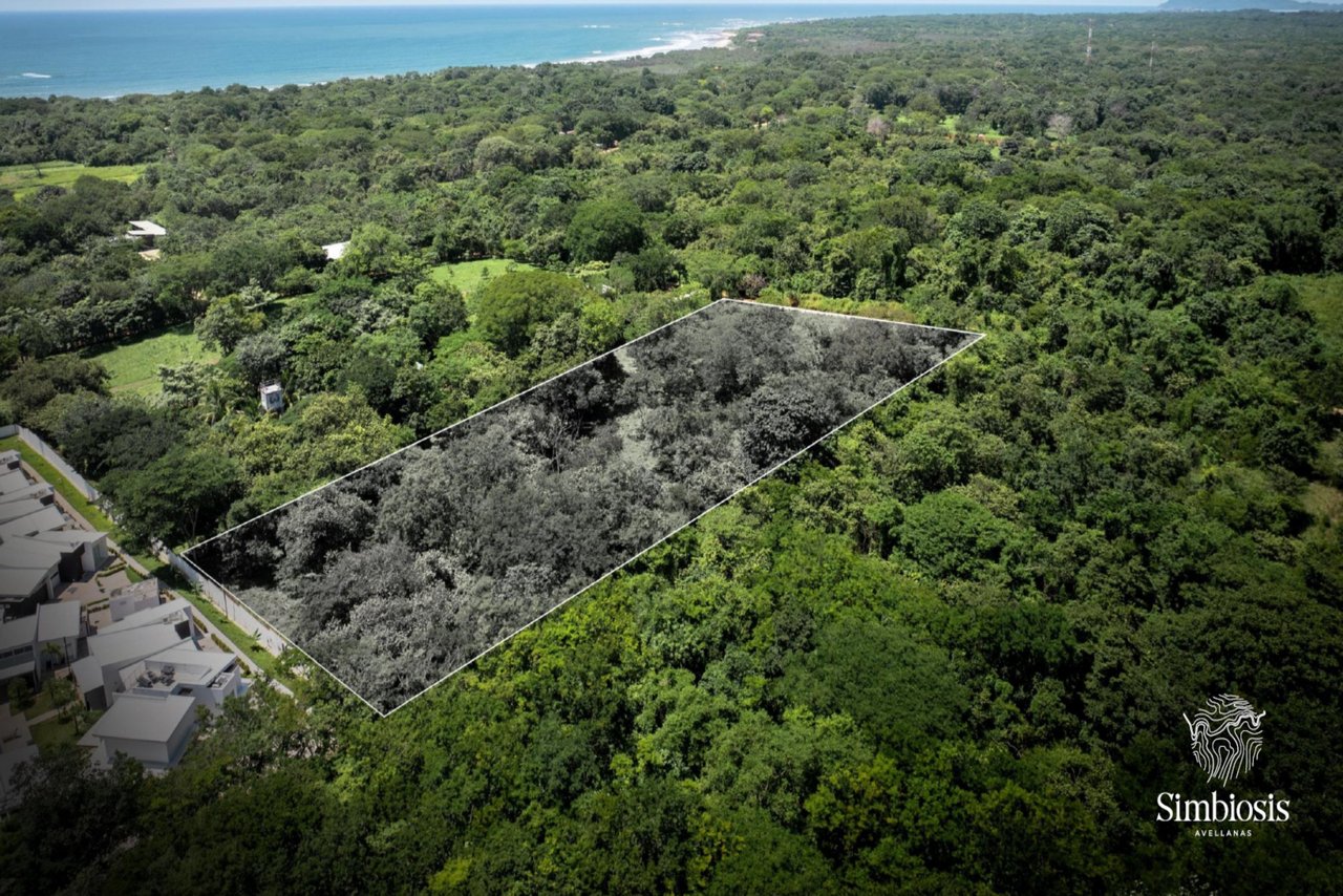 Simbiosis at Playa Avellanas: An Exclusive Gated Community Steps From The Beach 