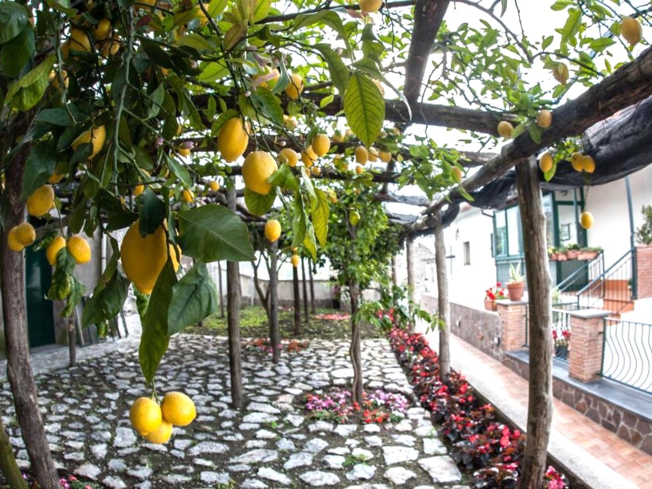 B&B With Swimming Pool and Garden in Scala