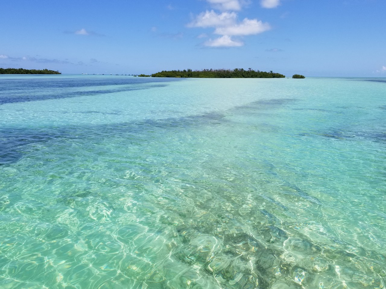 Tavernier/Plantation Key