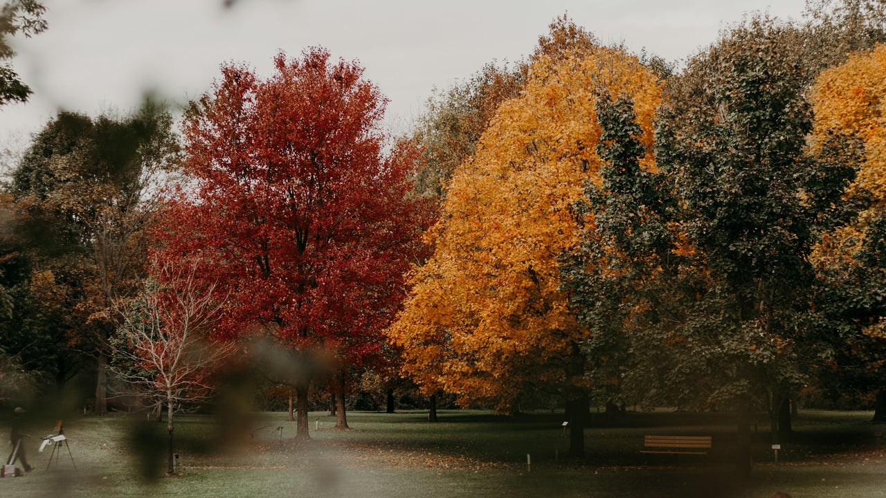 Explore Central Ohio