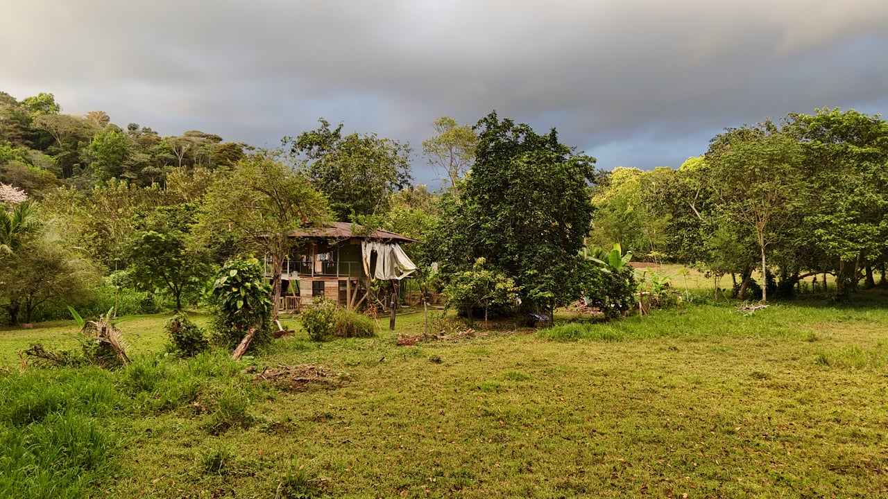 Over 5 Acres Farm in San Buenas