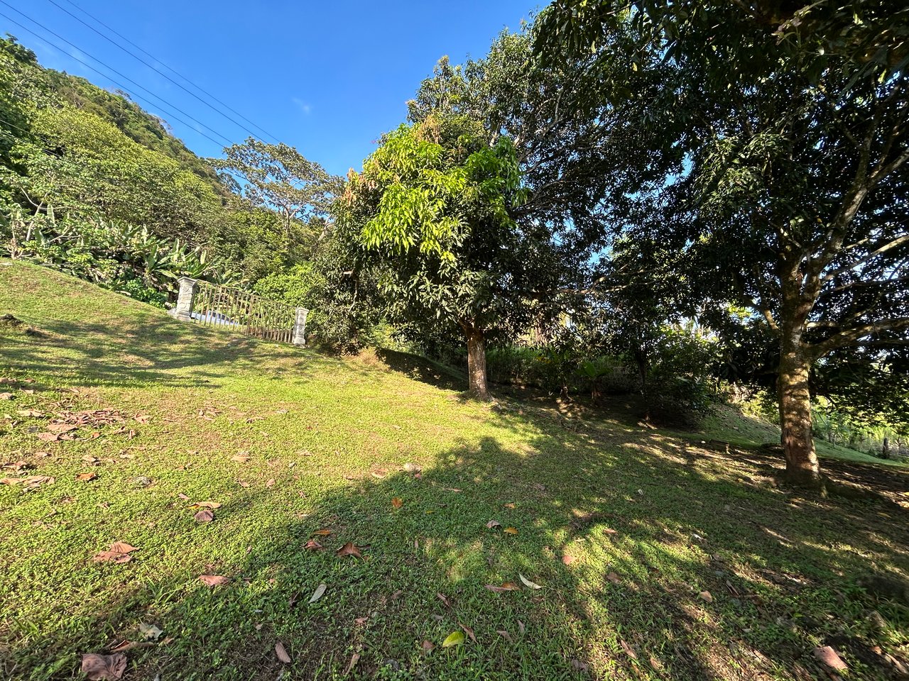 Commercial & Residential Property in Punta Mala with Producing Fruit Trees