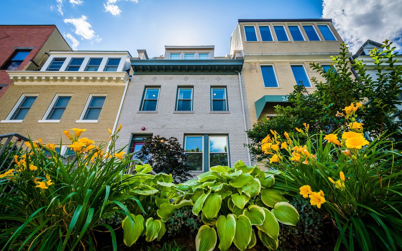 Adams Morgan