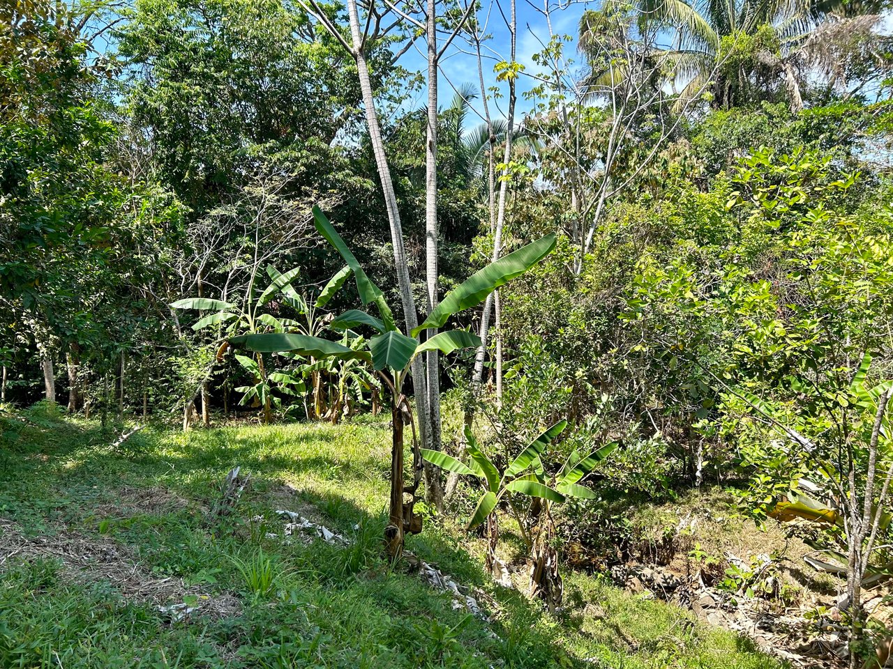 Great Location Land Parcel in Playa Hermosa