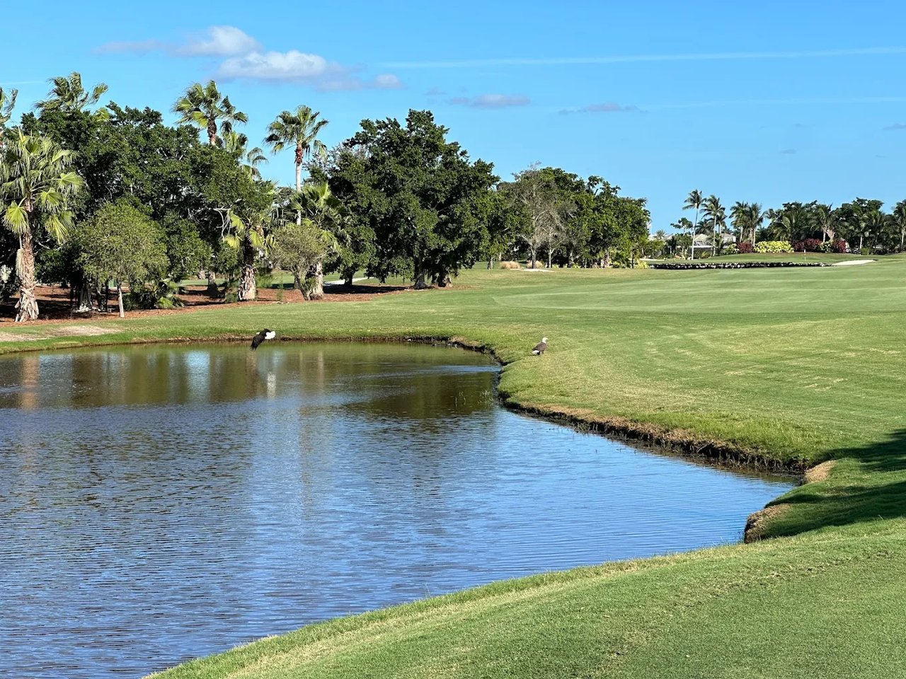 Island Country Club – Marco Island