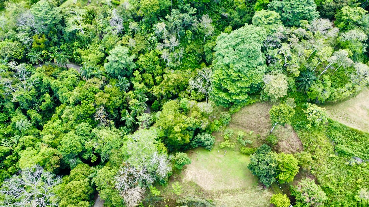 3.6 Acre Ocean View, Near the Beach & Cool Mountain Elevation