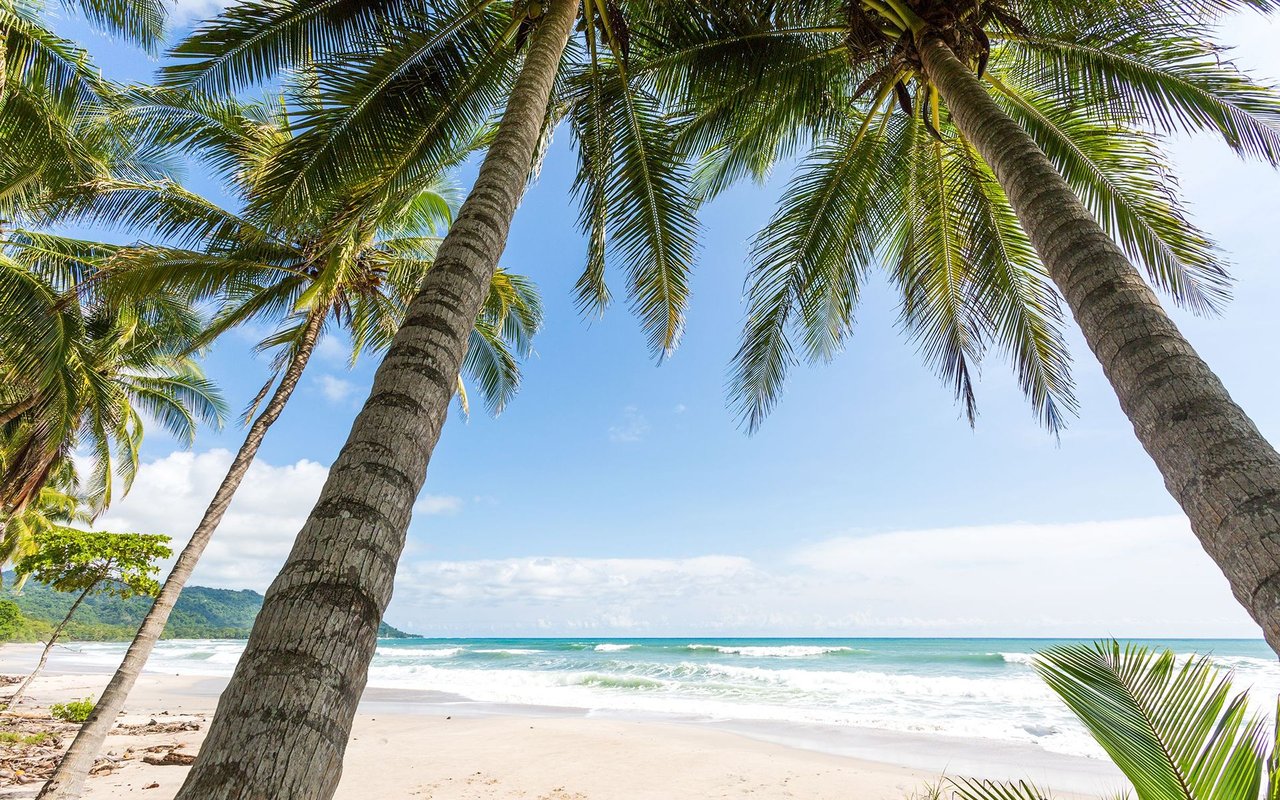 Playa Hermosa Santa Teresa