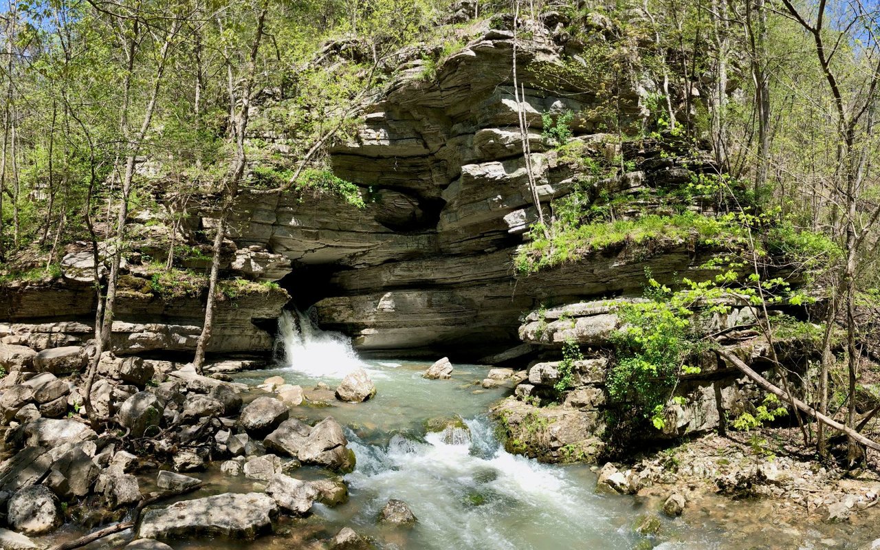 Cave Springs