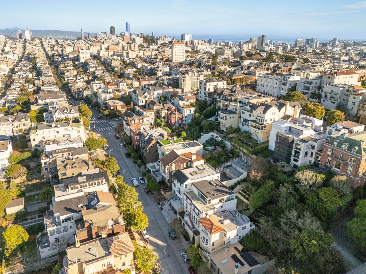 Pacific Heights Modern