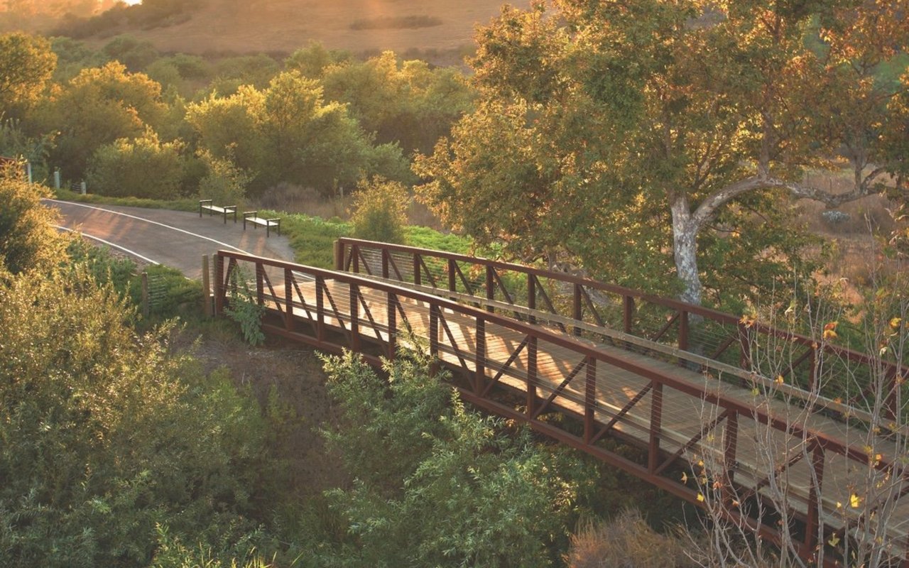 Interesting Facts About Shady Canyon in Irvine, California
