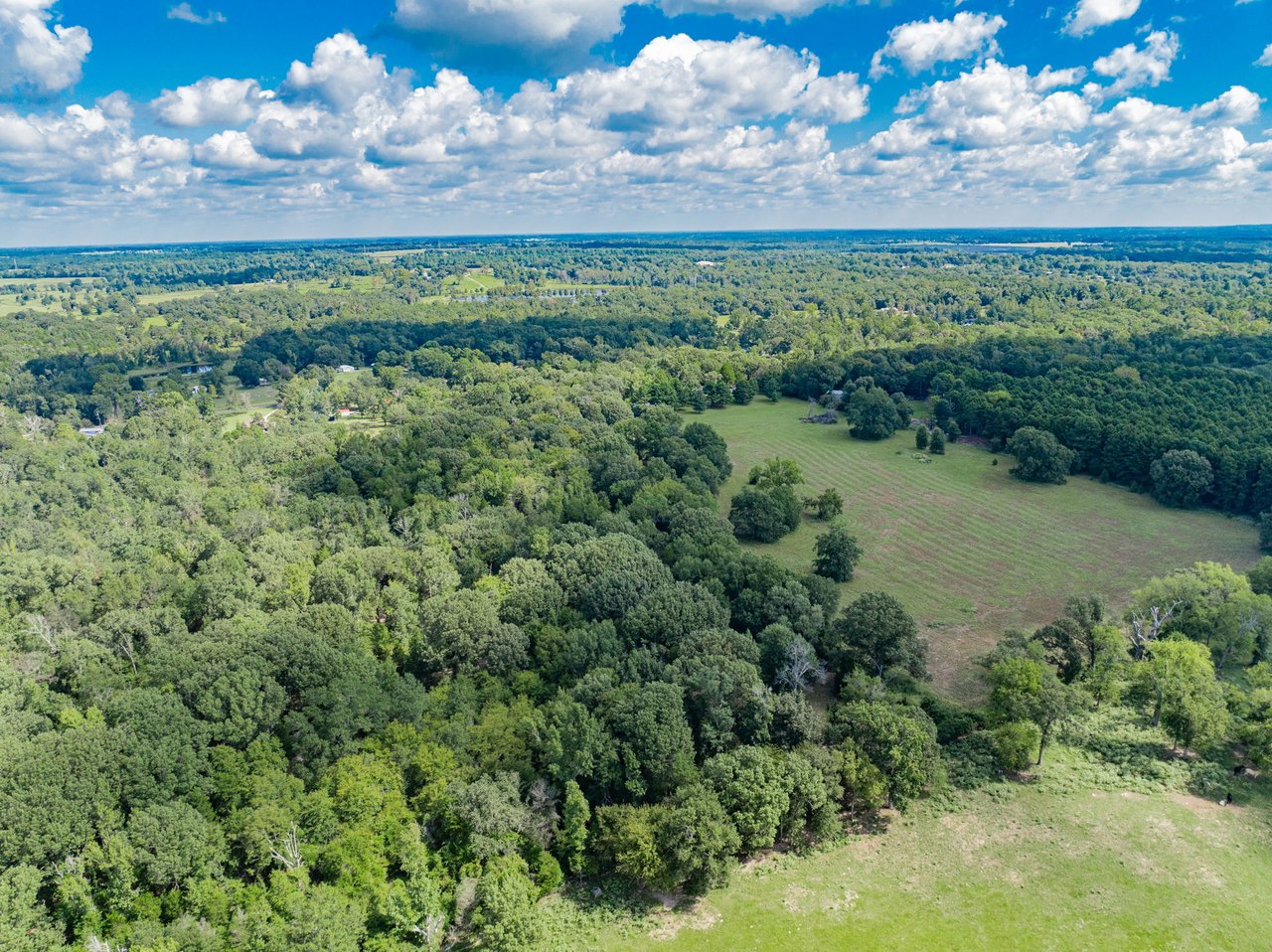 A Ben Wheeler Country Home & Land Dream!