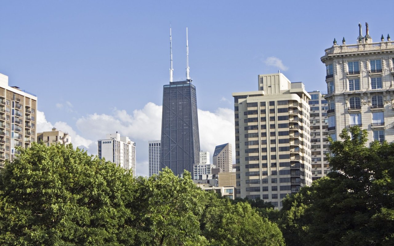 Chicago skyline with Willis Tower rising behind leafy trees.