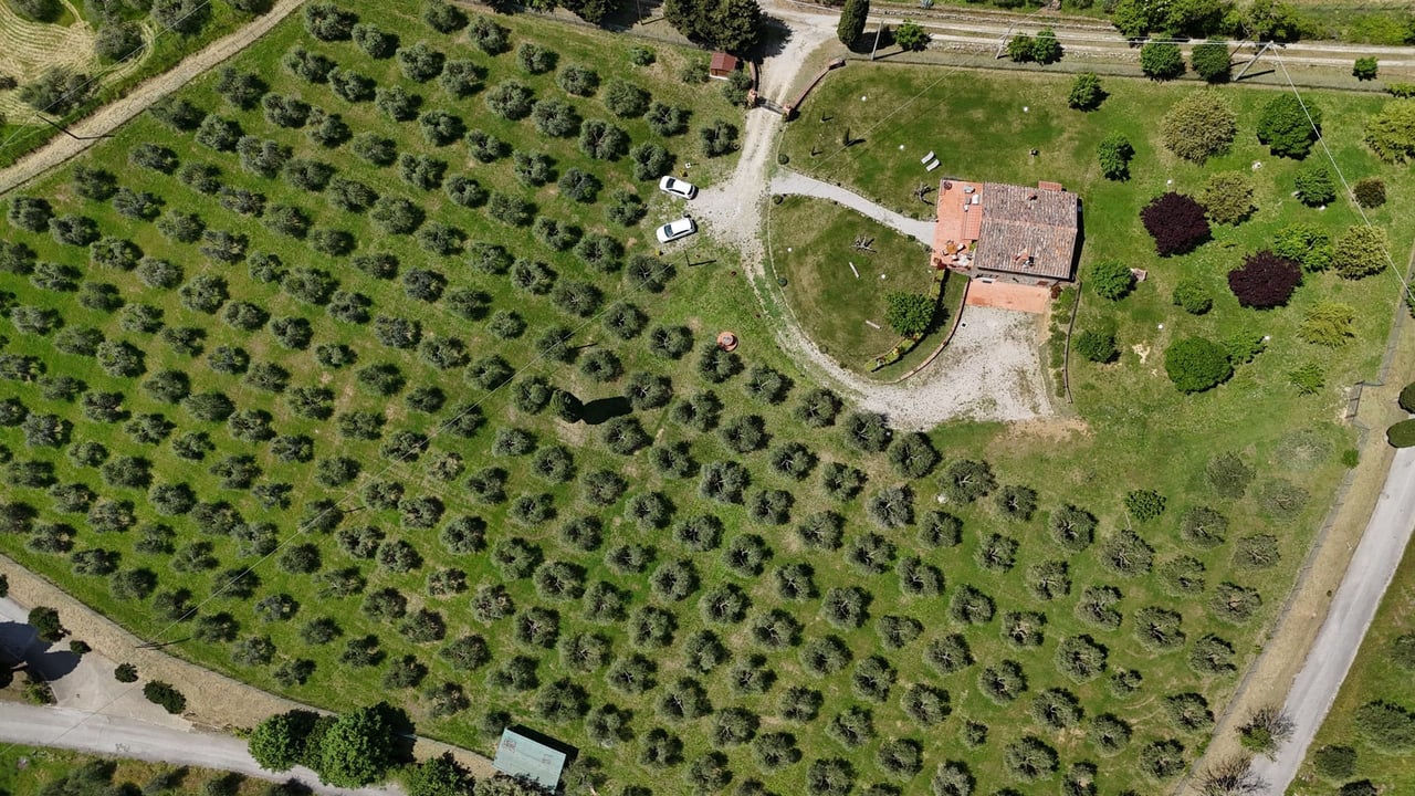 BELVEDERE DEL MAESTRO