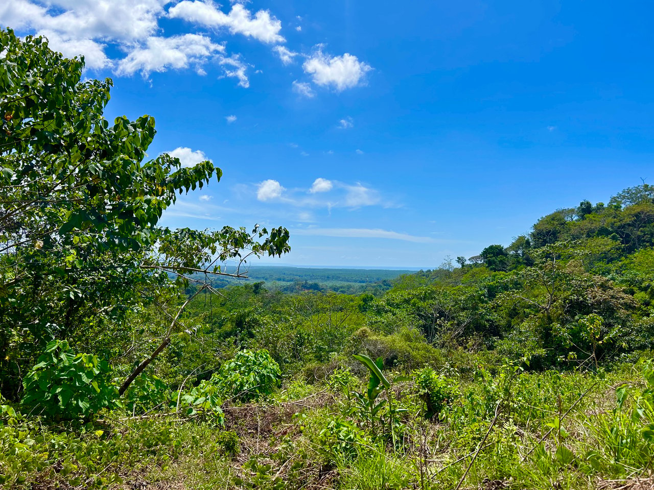 Ocean View Lot in San Buenas, Only $90K & Ready To Build