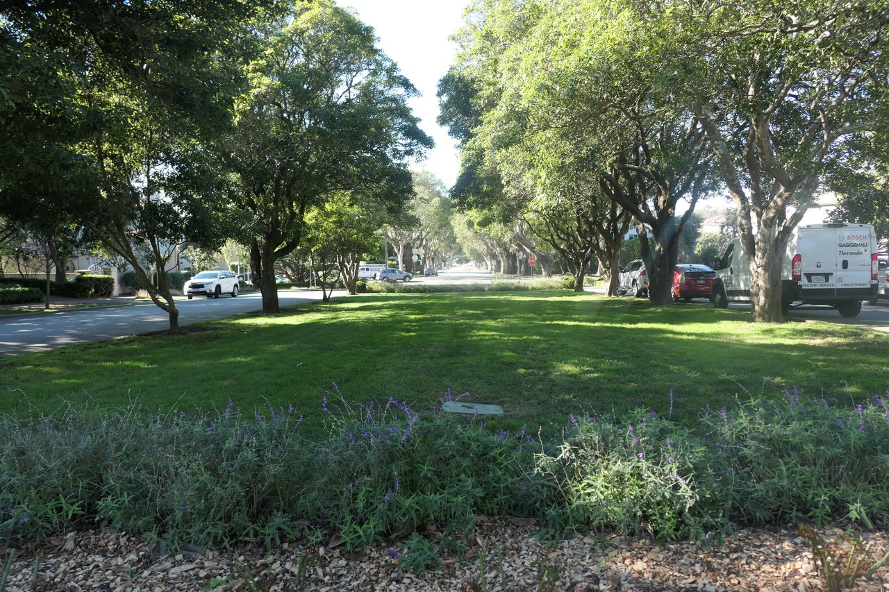 St Francis Wood- San Francisco