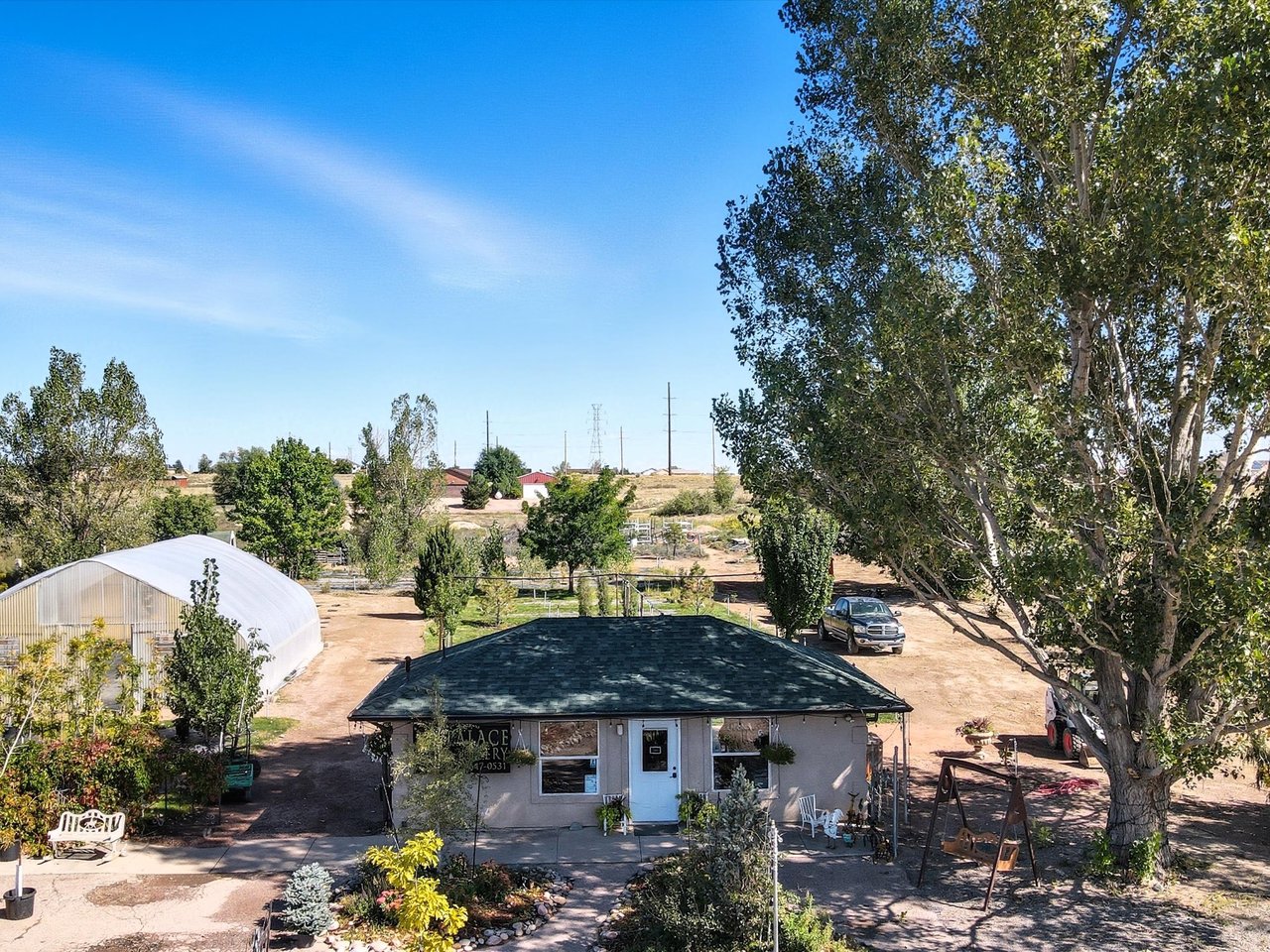 1115 E Holiday Drive