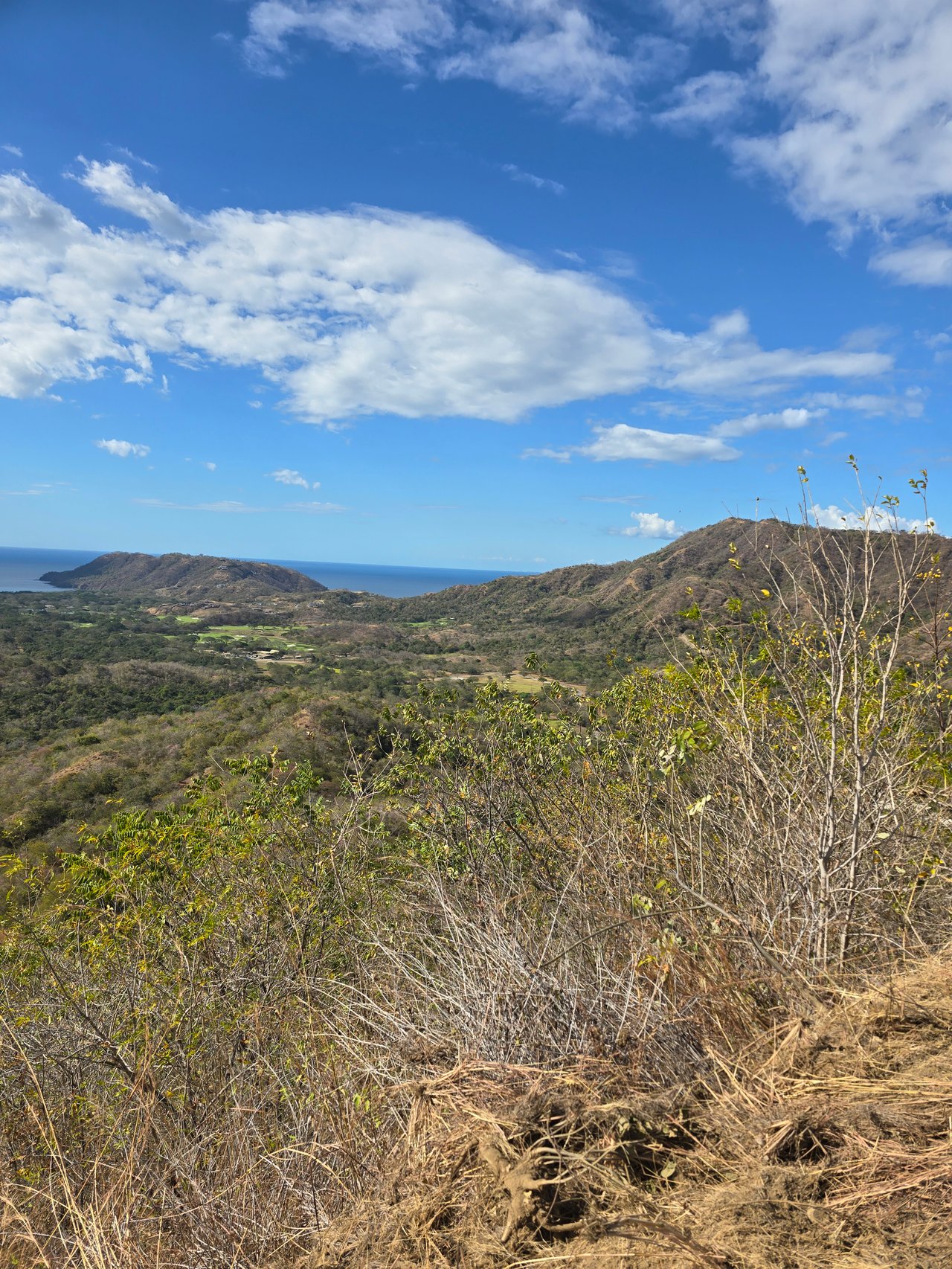 Vista Miramar Estate Lot, Pacific Heights