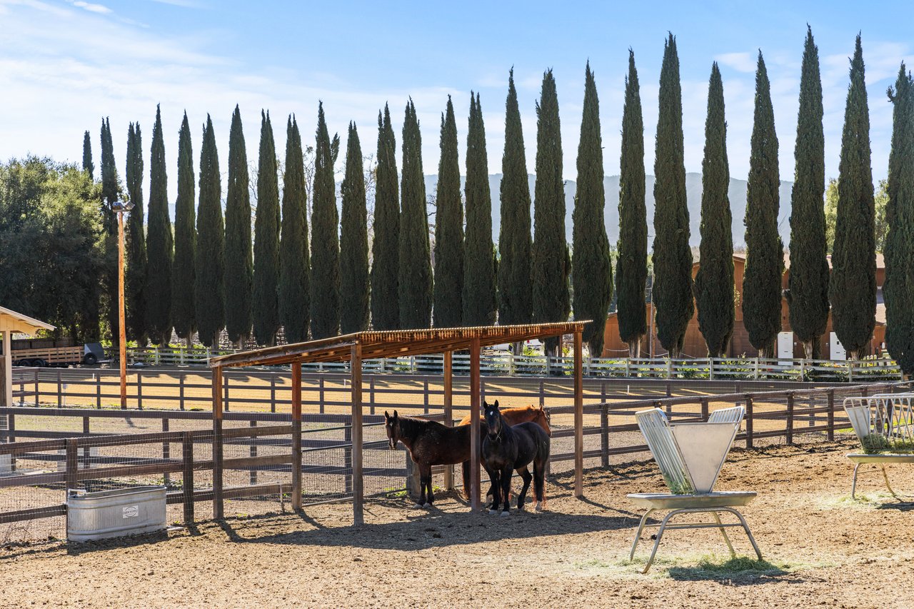 5+/- Acre Los Olivos Retreat