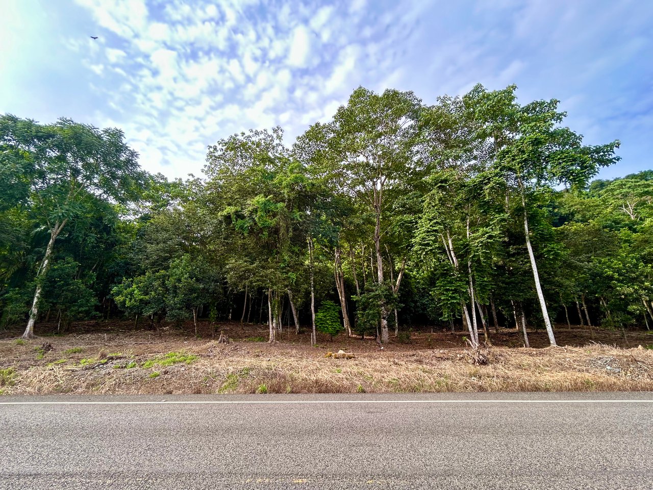 Tawal Lots for Sale – Prime Commercial & Residential Opportunity