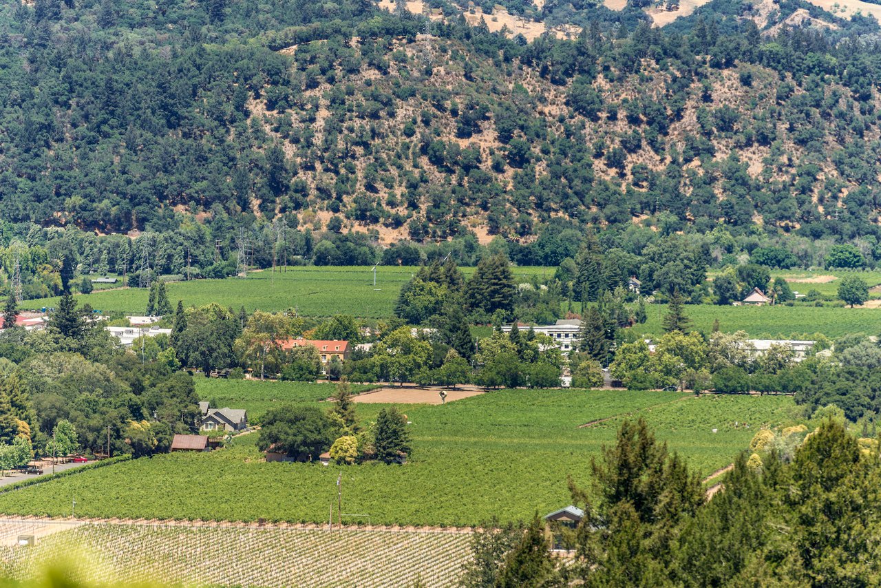 Sulphur Springs Avenue, St. Helena