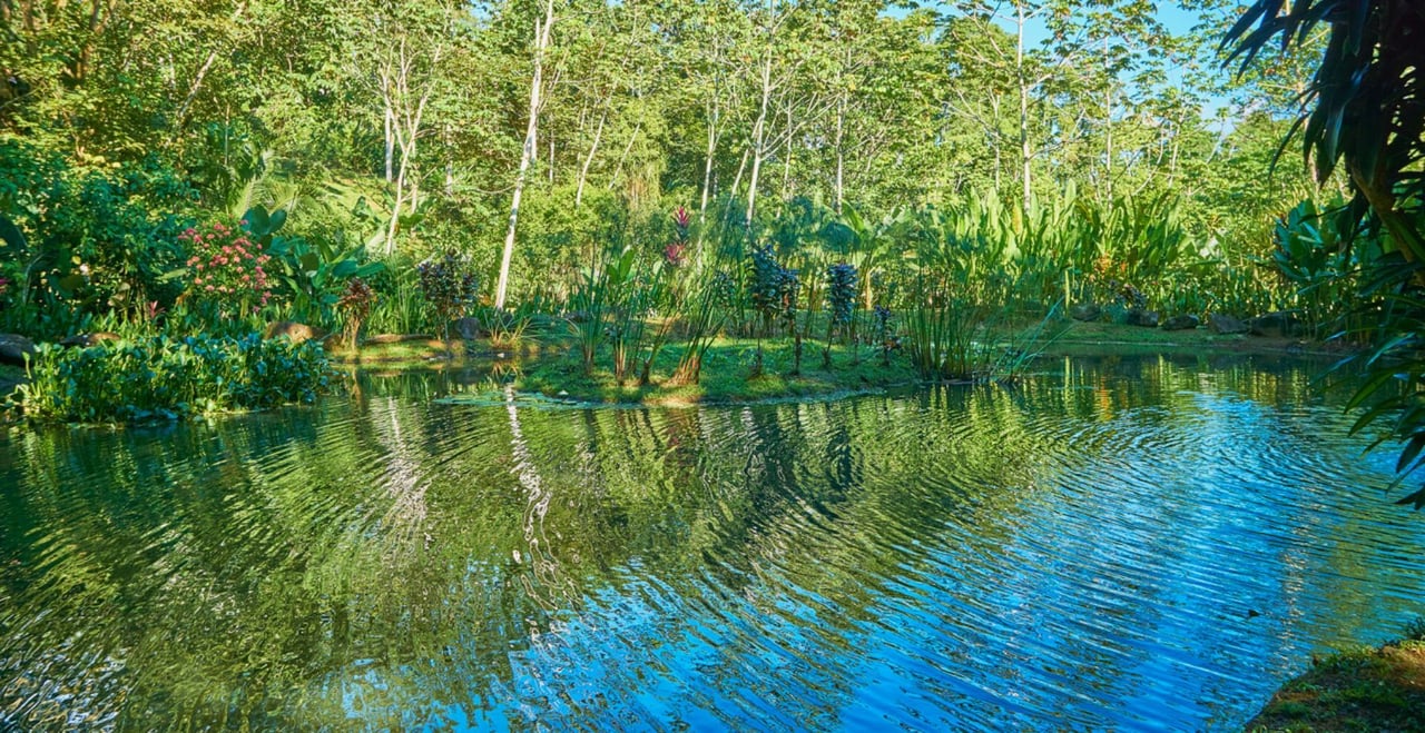 Riverfront Wellness Retreat Center, Uvita, Puntarenas