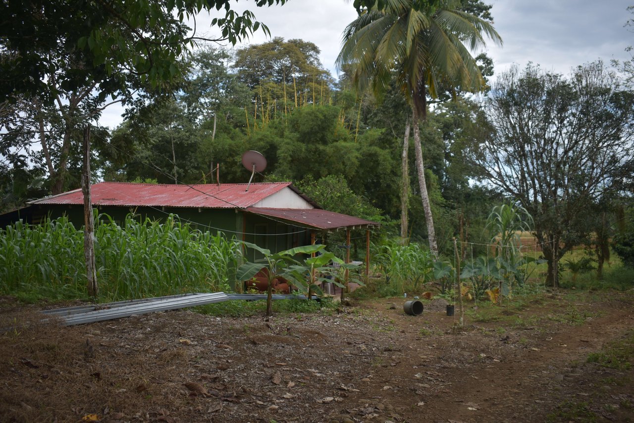 Villa Celeste Land | Embrace a unique 9-hectare Property along Rio Celeste