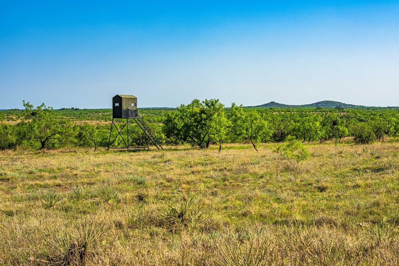 1145 AC Coleman County