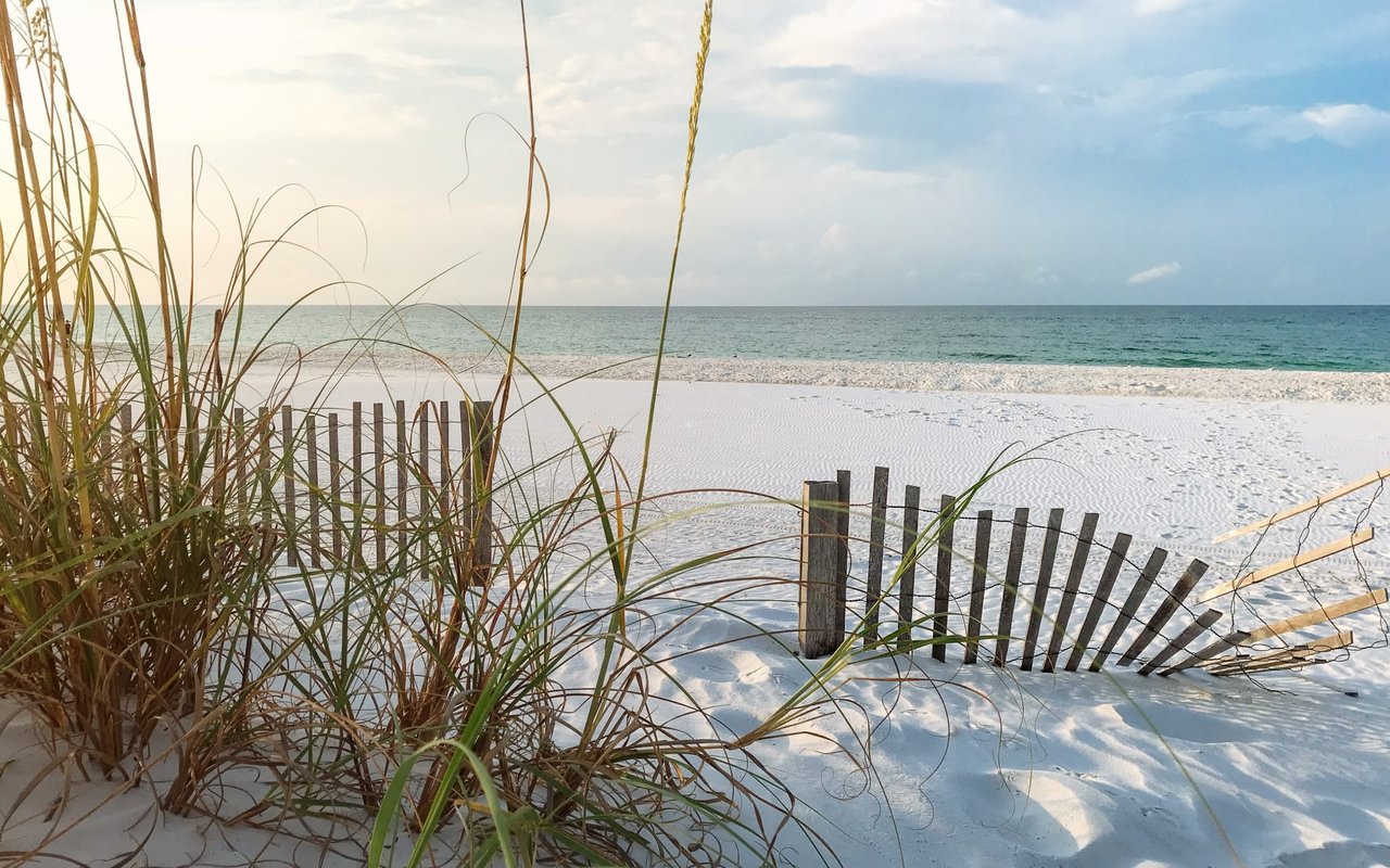 Blue Mountain Beach