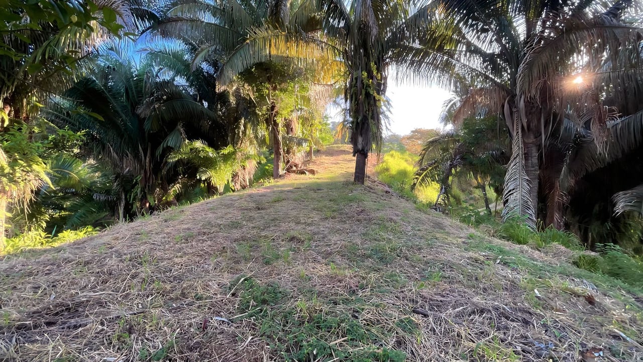  Exclusive Hermosa 1.2 Acre Lot with Panoramic Mountains and Ocean View. 