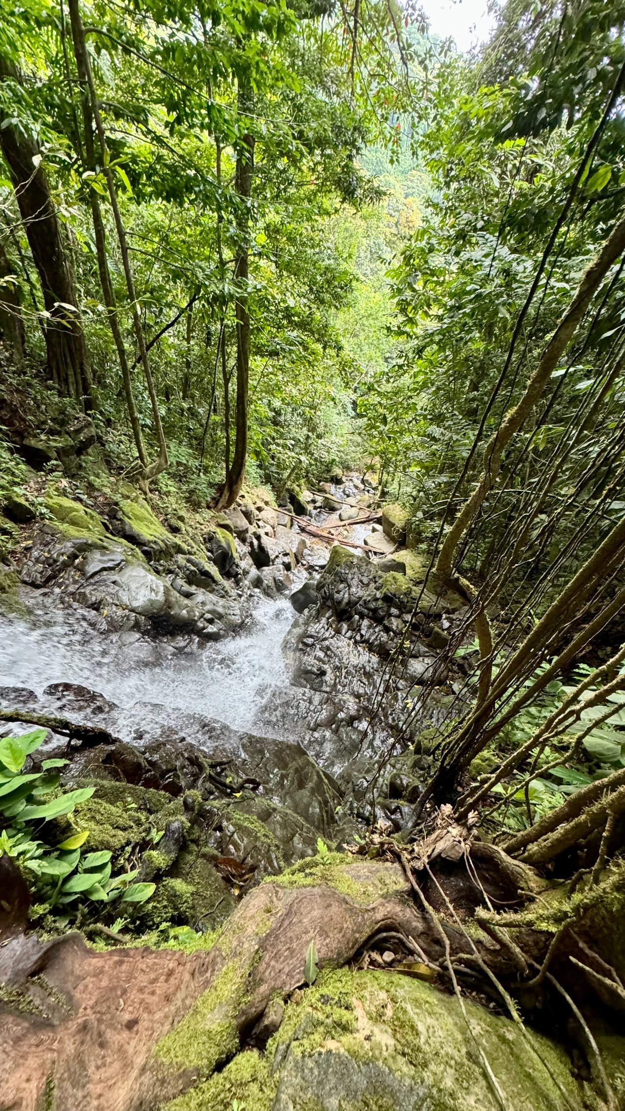 Ocean View Lot in the Exclusive Uvita Mountains. 