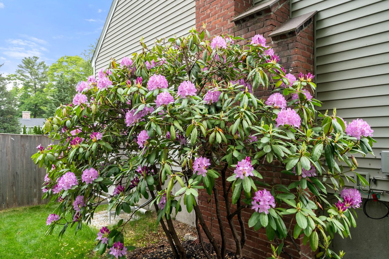 60 Washington Park Drive