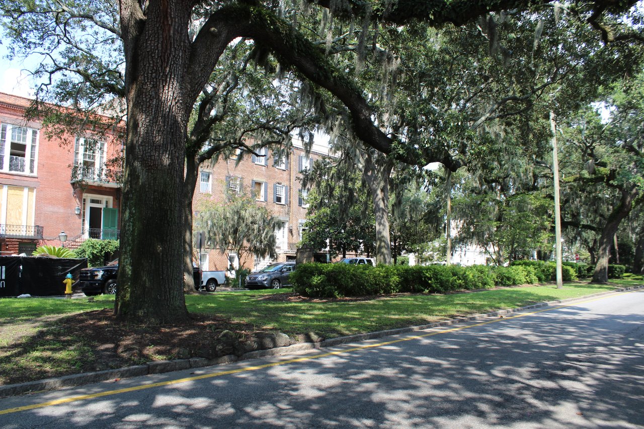Savannah