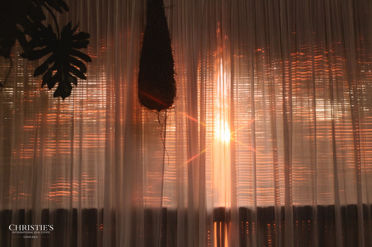 Villa Animales – Luxury Jungle Sanctuary