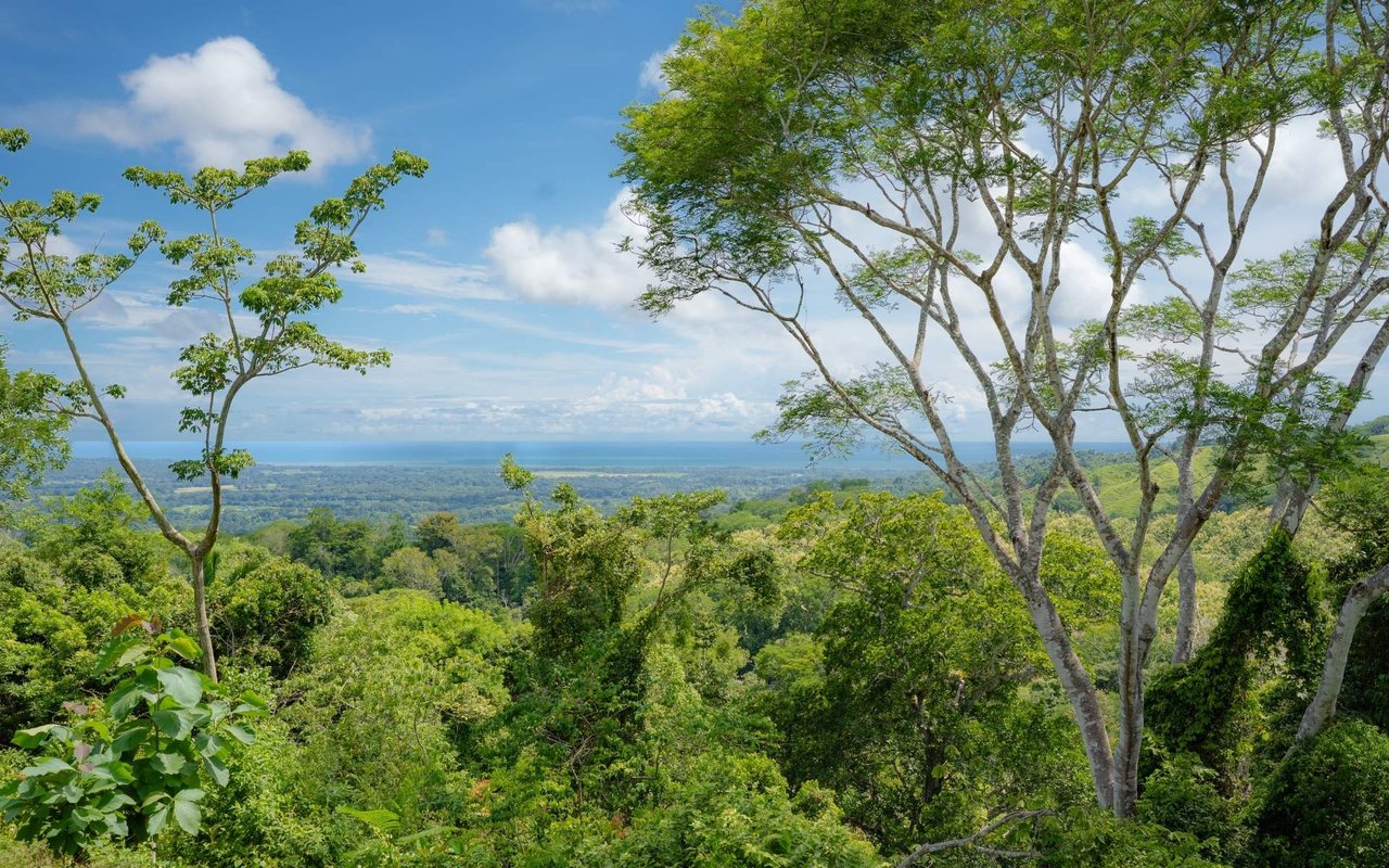 Ocean View Ridge Farm | 135-Acre Estate Near Playa Hermosa, Jacó