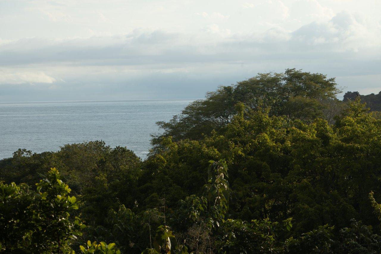 Casa Amigos