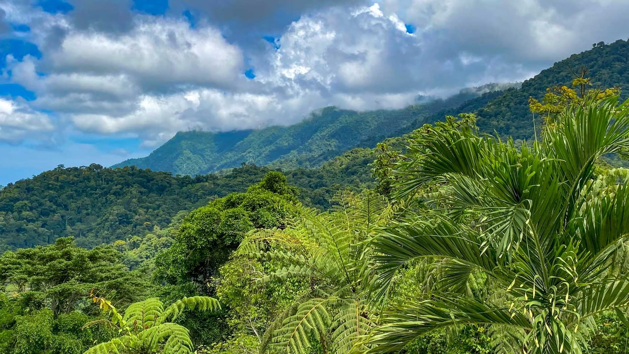 3-Bed Ocean View Home Near Ojochal, Costa Rica | 2.75 Acre Jungle Property