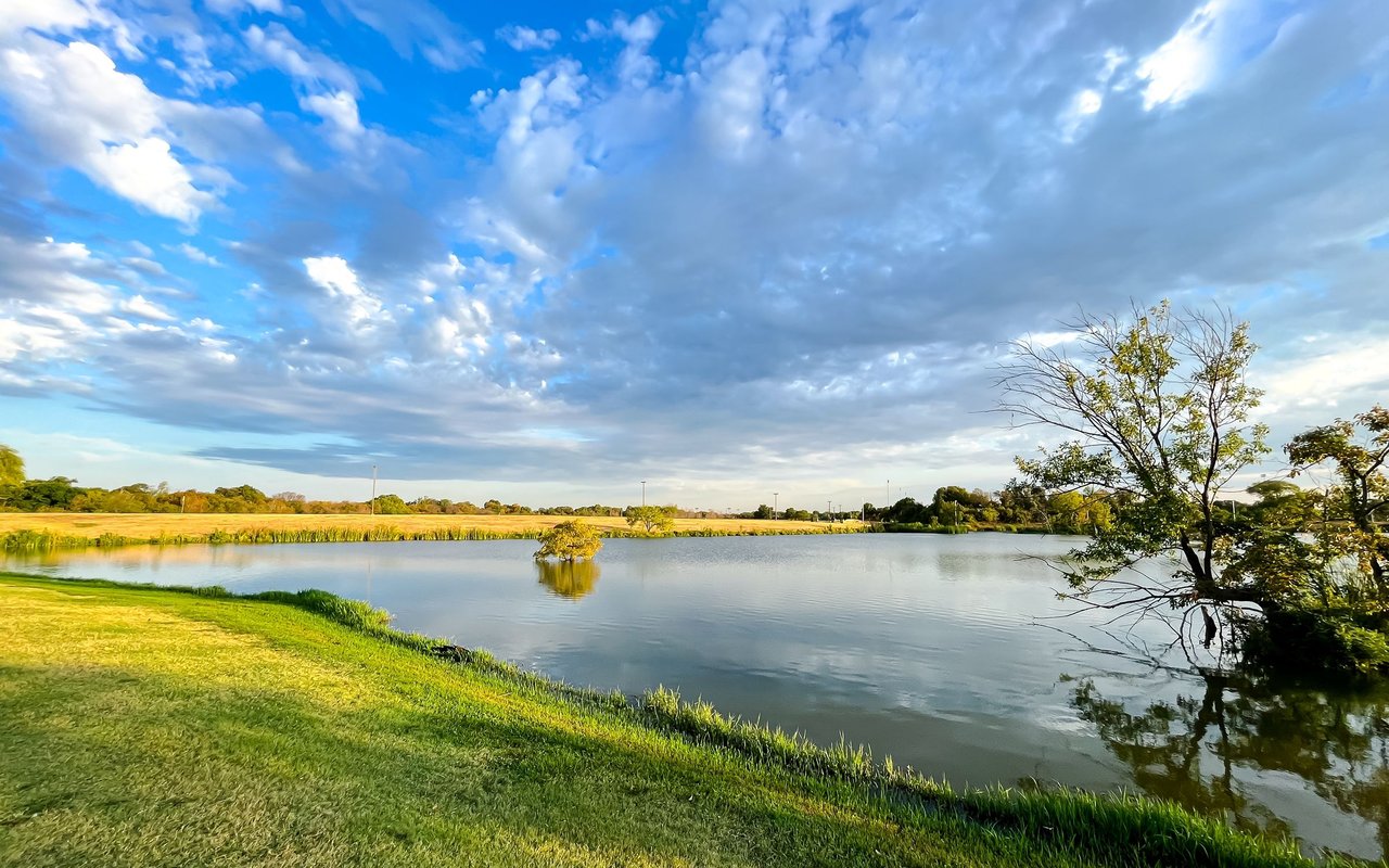 Bridgeland